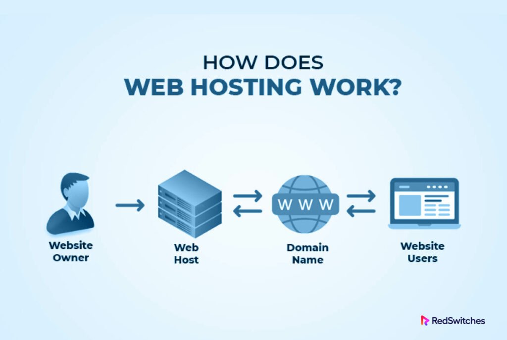 best-hostinger-reviews-is-hostinger-good-for-your-business-2024